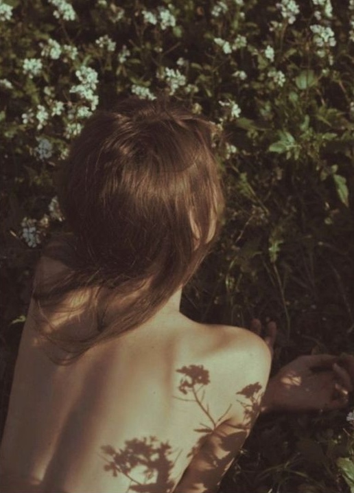 Back of a woman among white flowers
